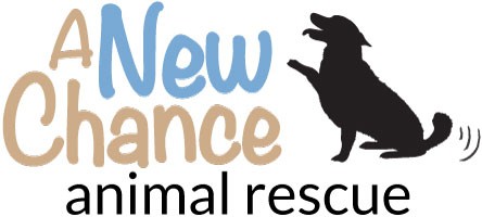 A New Chance Animal Rescue