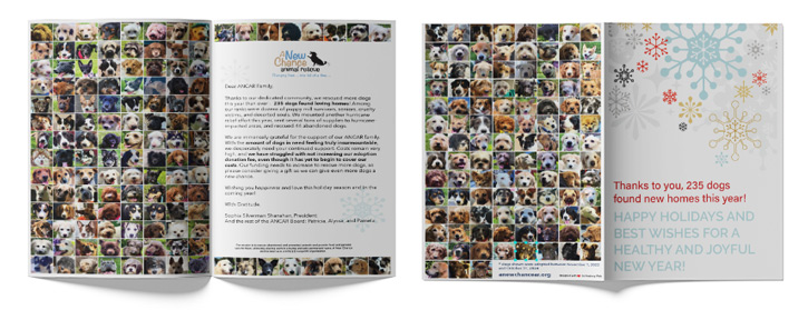 2024 YE Appeal Card Mockup